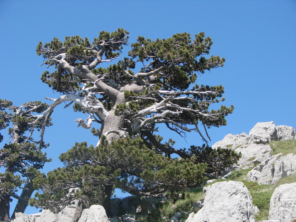 Bed and Breakfast Montagne Rocciose Frascineto Екстер'єр фото