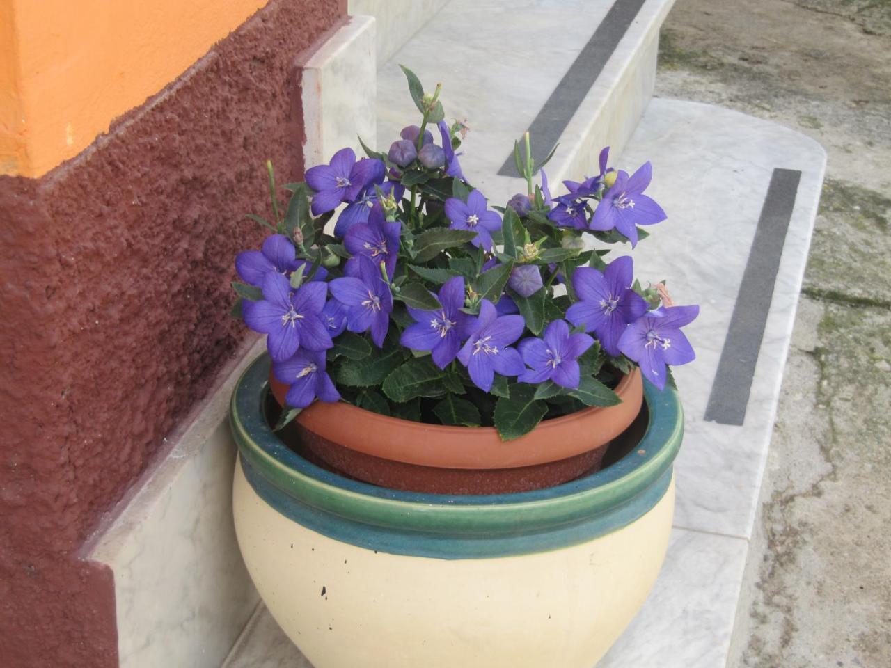 Bed and Breakfast Montagne Rocciose Frascineto Екстер'єр фото